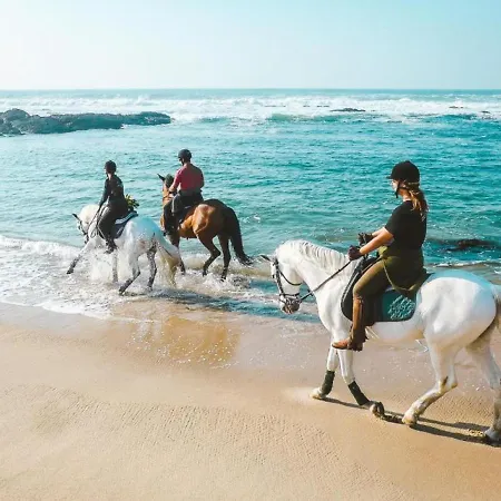 Cabedelo Beach Lodge Holiday home *